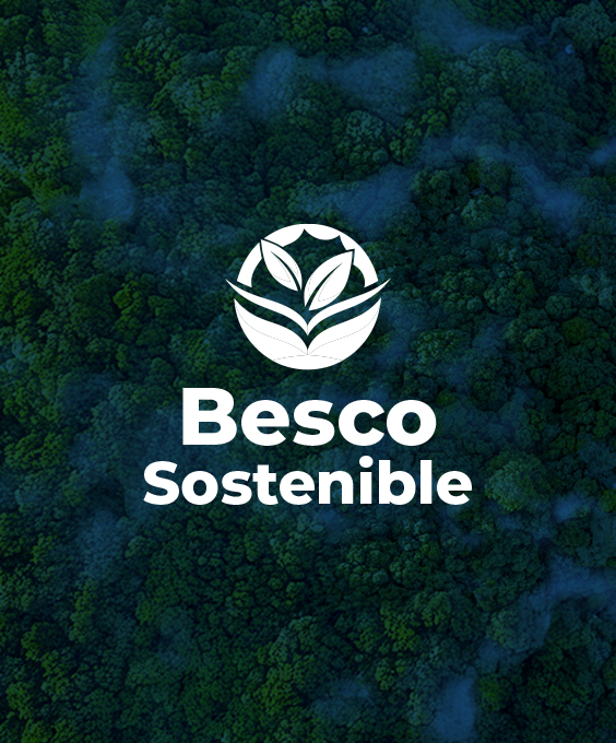 sostenible ico